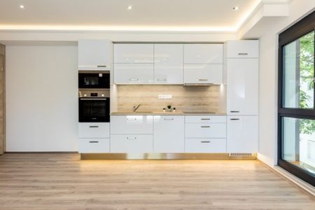Modern duplex apartment for rent - Photo 3