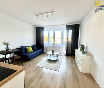 Częstochowa, Tysiąclecie - Photo 5