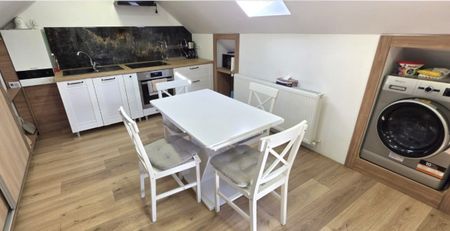 For rent an apartment in Cluj-Napoca, 7 minutes walk from the University of Medicine and Pharmacy and 7 minutes walk from the University of Agricultural Sciences and Veterinary Medicine, consisting of one room and a living-room - Fotografie 2
