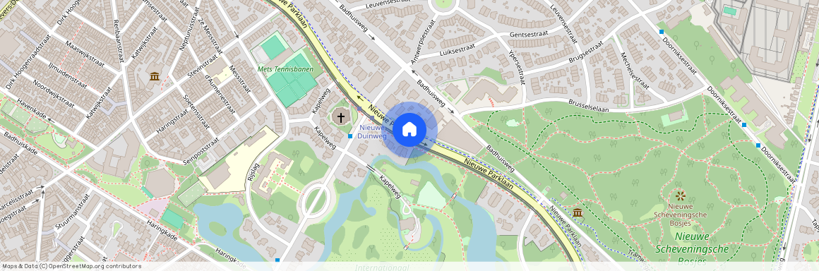 Nieuwe Parklaan, 2587 BN Den Haag