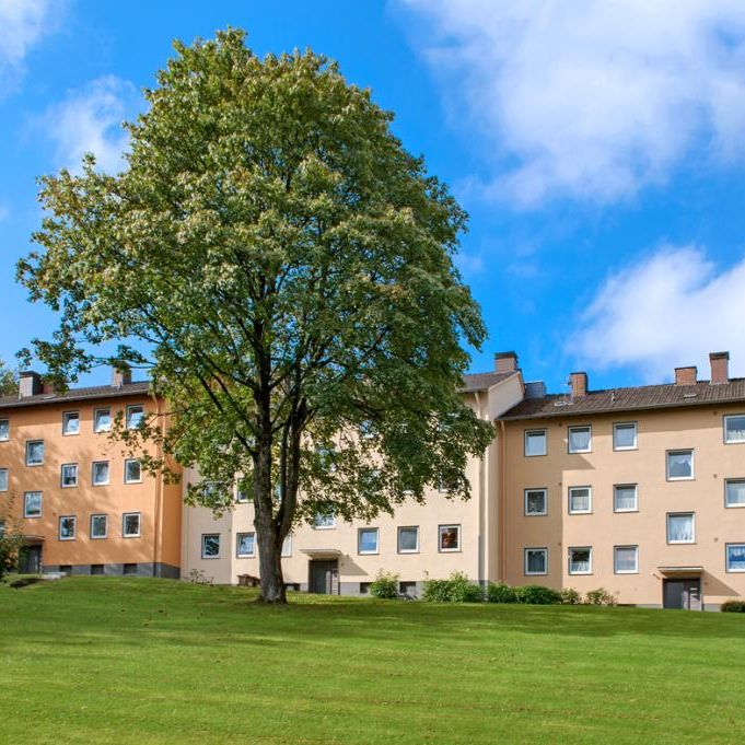 3-Zimmer-Wohnung in Neunkirchen Salchendorf ab sofort - Photo 1