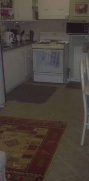 Nice Room for Rent in Shared Apt-Available APRIL 1 - Photo 1