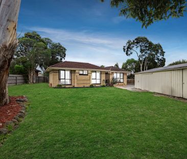 Family Entertainer on a Huge Block - Photo 4