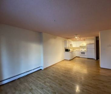 2-Bedroom Suite with in-unit Laundry near Stadium Edmonton LRT Station - Photo 3