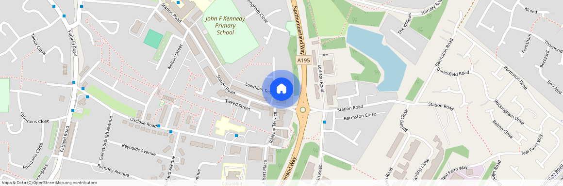 Willows Close, Washington, NE38