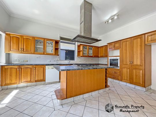 339 Maitland Road, Mayfield West - Photo 1