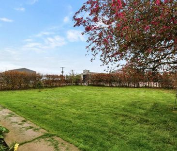 3 bedroom semi-detached house to rent - Photo 6