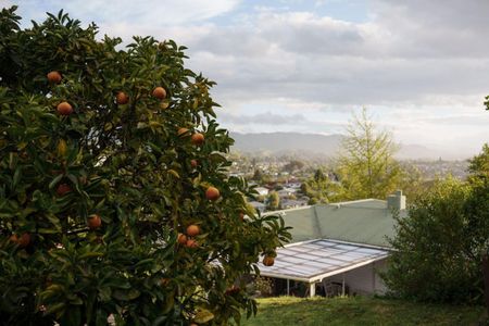 Sunny Elevated Home Near Tahunanui Beach – Privacy, Views and Character - Photo 2