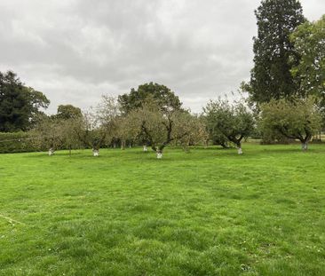 3 bedroom house to rent - Photo 2