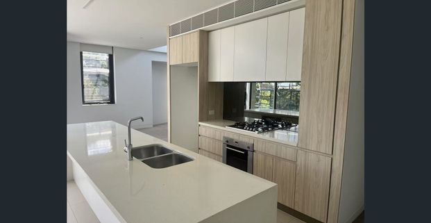 TOP FLOOR, LIGHT FILLED, MODERN APARTMENT WITH TRANQUIL BUSH VIEWS - Photo 1