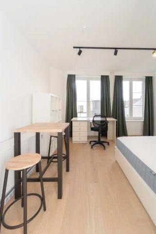 Gerenoveerde studio op zeer centrale ligging in hartje Gent - Photo 3
