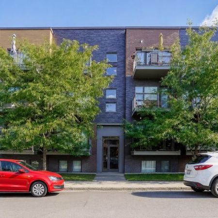 3 1/2 - Montréal (La Petite-Patrie) - 1 550 $/mois - Photo 3