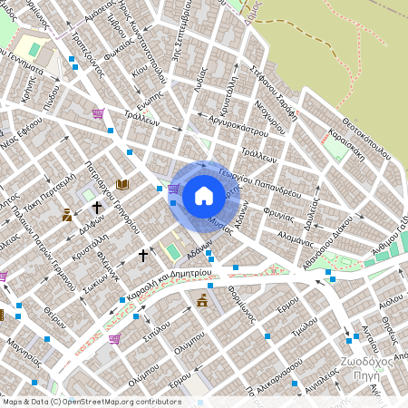 Βύρωνας (Νέα Ελβετία)