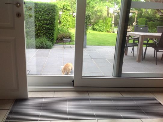 vragen staat vrij - Photo 1
