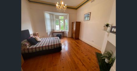 UNIQUE 4 BR HOUSE COURTYARD - DESIRABLE LOCATION - Photo 4