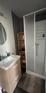 Location Appartement 1 pièce 40m² LILLE 59000 - Photo 3