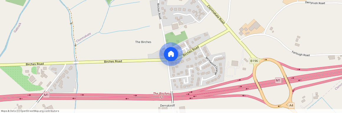 8 Birches Grove, Portadown, BT62 1DX