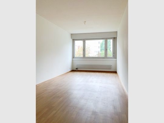 Grosszügige Wohnung im Benziwil! - Photo 1