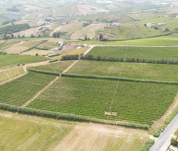 Lisboa, Lisbon 2640 - Photo 2