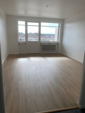 Nya vägen, Sundsvall - Photo 5