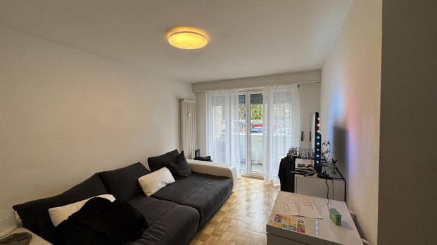 Charmant appartement de 3 pièces au rez de chaussée à Fribourg - Foto 1