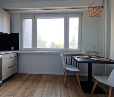 Łódź Łódź-Widzew, Beli Bartoka - Photo 4