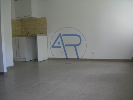 Location Appartement 1 pièce 23m² BRIOUDE 43100 - Photo 3