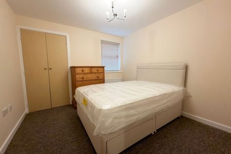 Orchid Drive - Photo 5