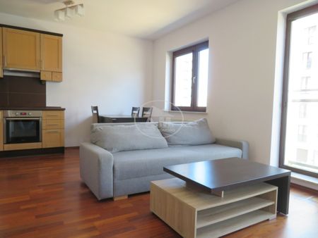 HUBY, GAJ, UMEBLOWANE, Super lokalizacja - Zdjęcie 5