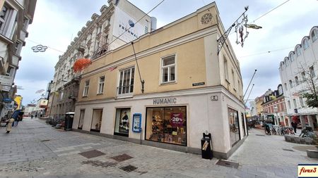 Praxis, Ordination, Studio, Büro, Kanzlei, ... im Zentrum von St. Pölten provisionsfrei zu mieten - Photo 4