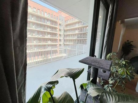 2120 Rue Ste Catherine E. - Photo 2