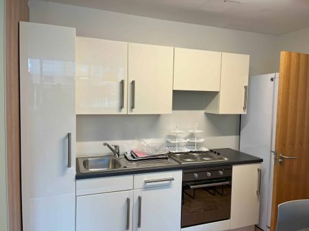 Large Standard Double Ensuite: Three Bed Flat - Photo 4