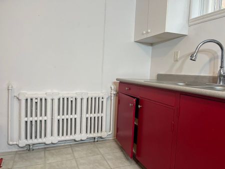 For Lease - 244 Maxwell (Basement) Street, Toronto, Ontario - Photo 2
