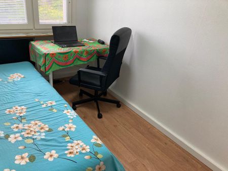 Sorögatan, Stockholm - Foto 3