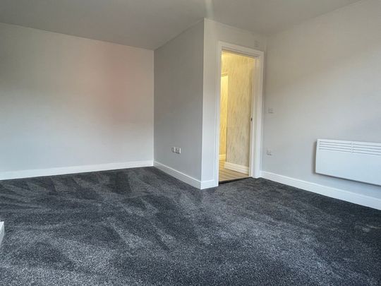 1 bedroom apartment to let - Photo 1