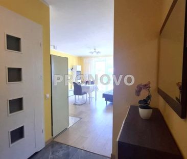 Gryfino - Photo 4
