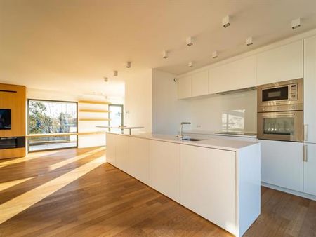 Penthouse te huur - Photo 4