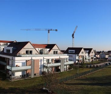 A louer F2 BBC – Domaine des Cépages - Photo 2