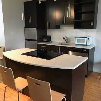 RENOVATED-AVAILABLE Nov 1st-Pet Welcome Furnished 1 Studio@ 1540 Haro - Photo 4