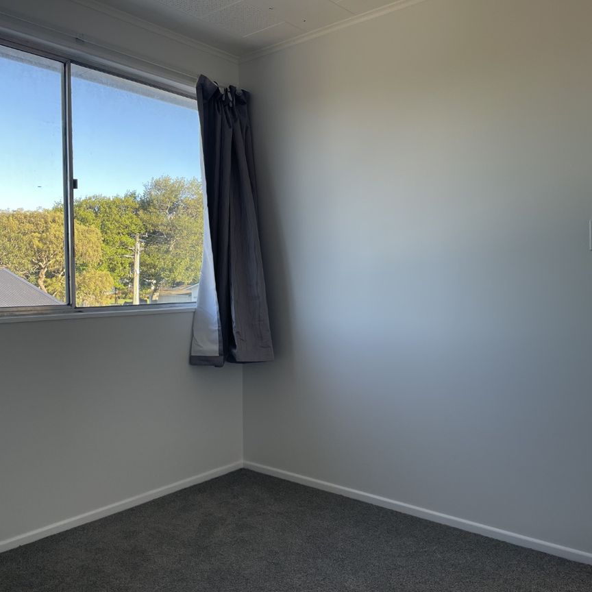 Newly Renovated in Wallaceville - Photo 1