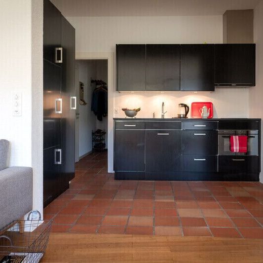 APPARTEMENT 2 PIÈCES À BÂLE - ALTSTADT/KLEINBASEL, MEUBLÉ, TEMPORAIRE - Photo 1