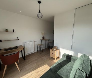 Location Appartement 1 pièce Meublé 17m² NANTES 44300 - Photo 2