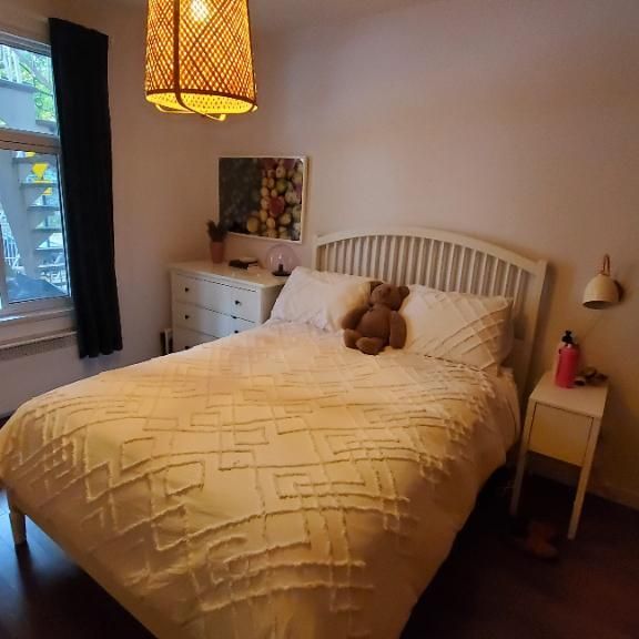 4½ rénové rez-de-chaussée Rosemont-Petite-Patrie - Photo 1