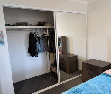 Doolandella - Photo 4