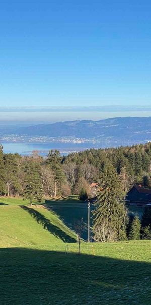 2 Zimmer, 50 m², 1. Stock - Foto 2