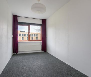 Aalscholverstraat - Photo 3