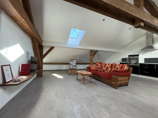 Location Appartement 3 pièces 80 m2 à Saint-Michel-sur-Meurthe - Photo 1
