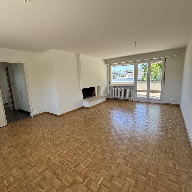 Teilsanierte Attika-Wohnung mit Sicht ins Grüne - Foto 1