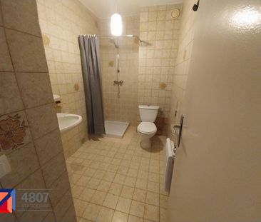 Location appartement 1 pièce à Sallanches (74700) - Photo 3