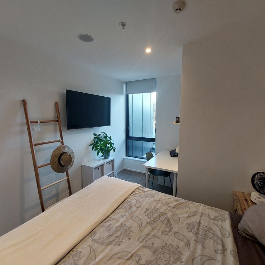 1 Bedroom mordern apartment - Handbag dog or Cat is welcome! - Photo 1